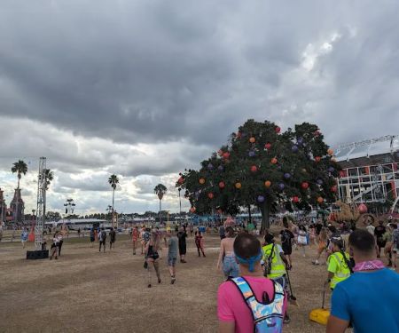 RSS Roofing Services & Solutions Florida