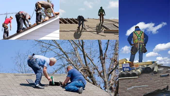 Red Turtle Roofing of Orlando Picture 1