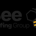 Bee Roofing Group