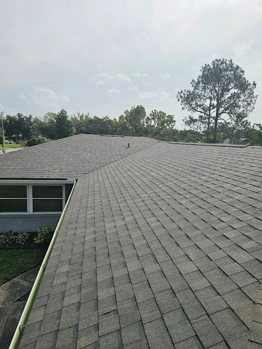 Roof MD Picture 6