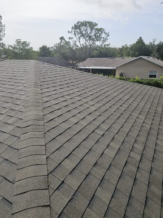 Roof MD Picture 4