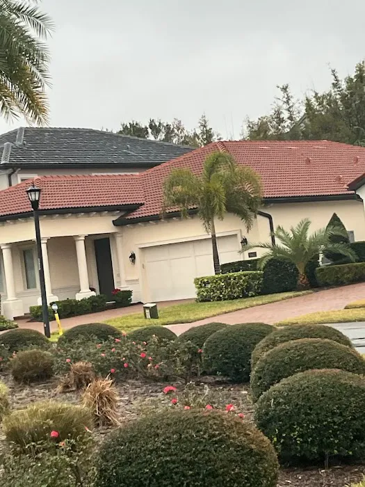 Optimal Green Roofing Picture 7