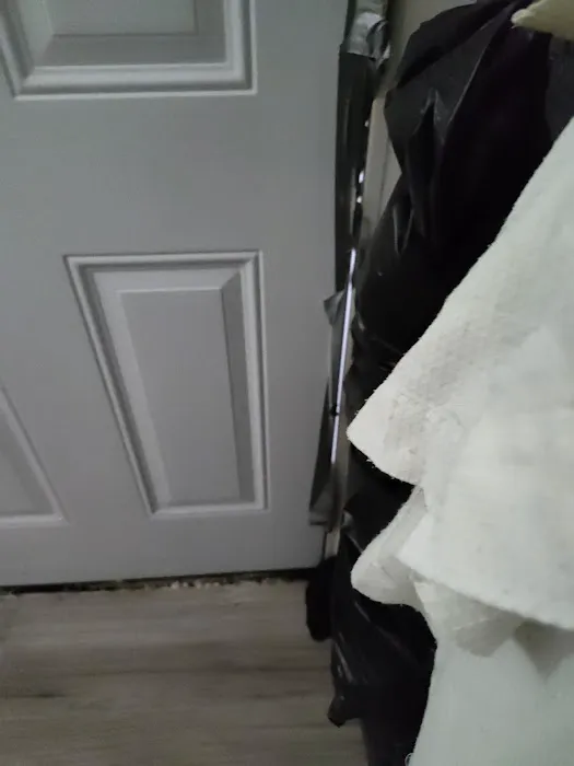 Optimal Green Roofing Picture 3