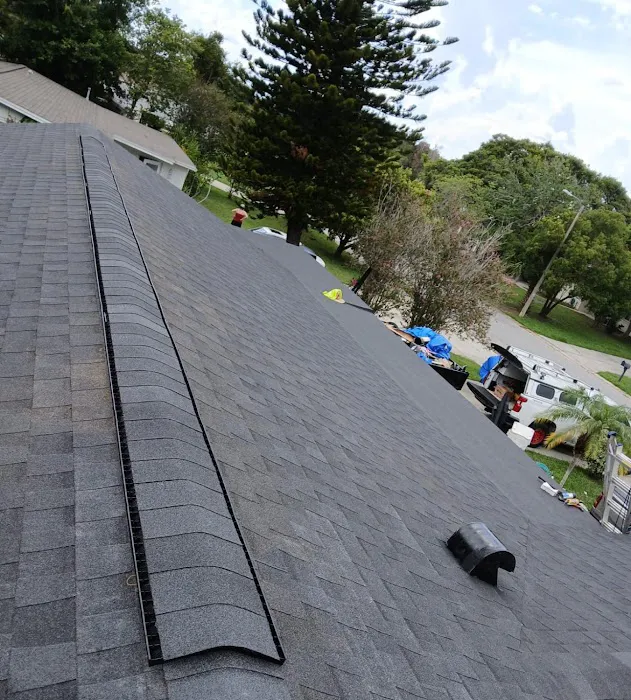 Optimal Green Roofing Picture 2