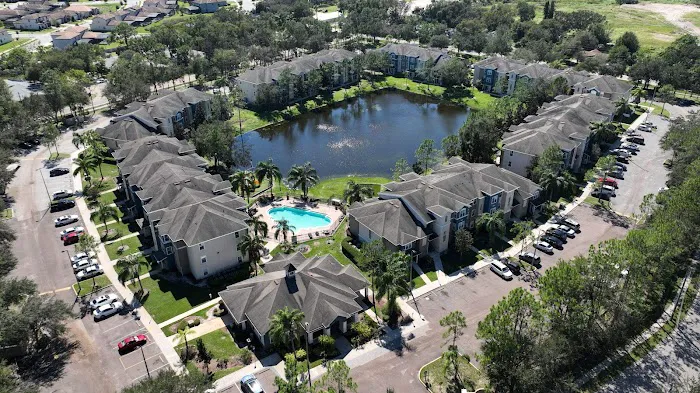 New Standard Roofing Orlando Picture 3