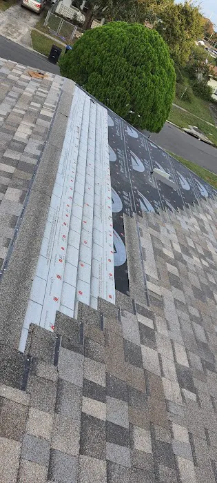 Brutus Roofing and Construction Picture 3