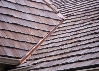 Hodges Brothers Roofing Picture 1