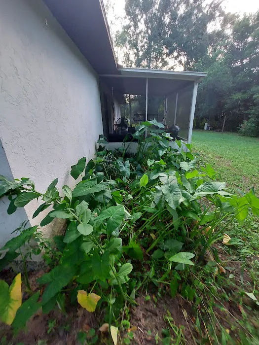 Bowles Roofing Picture 2