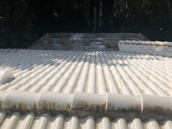 Suncoast Roof Cleaning Picture 5