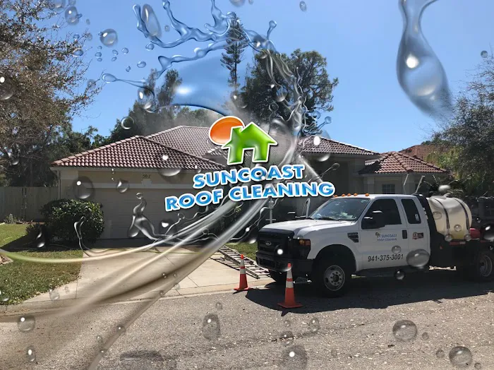 Suncoast Roof Cleaning Picture 3