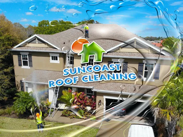 Suncoast Roof Cleaning Picture 2