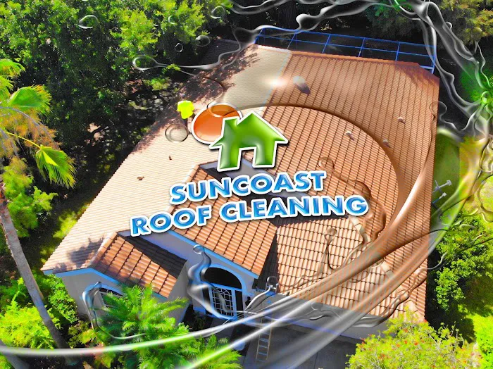 Suncoast Roof Cleaning Picture 7