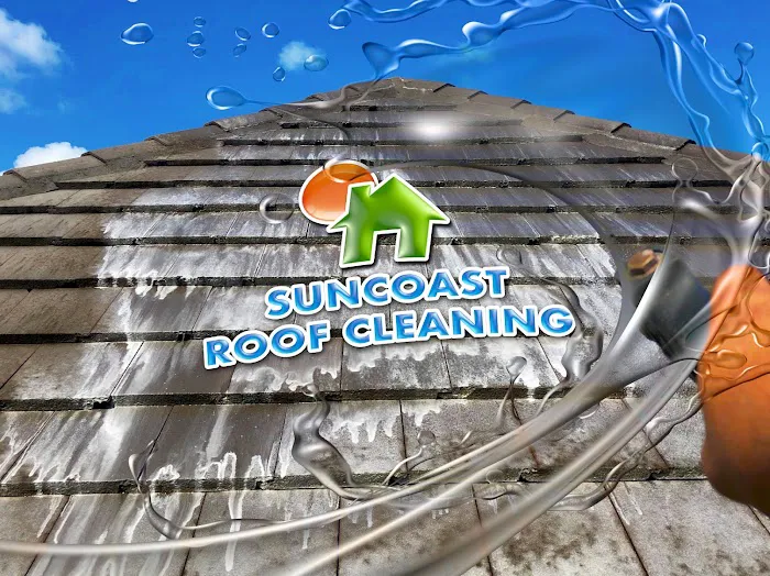 Suncoast Roof Cleaning Picture 4