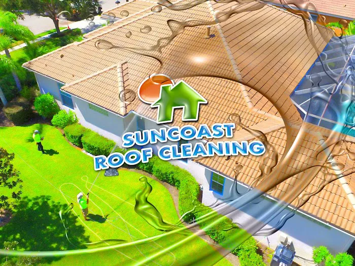 Suncoast Roof Cleaning Picture 10