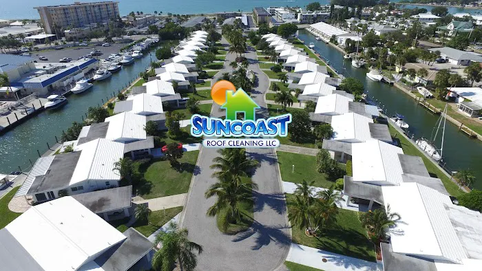 Suncoast Roof Cleaning Picture 8