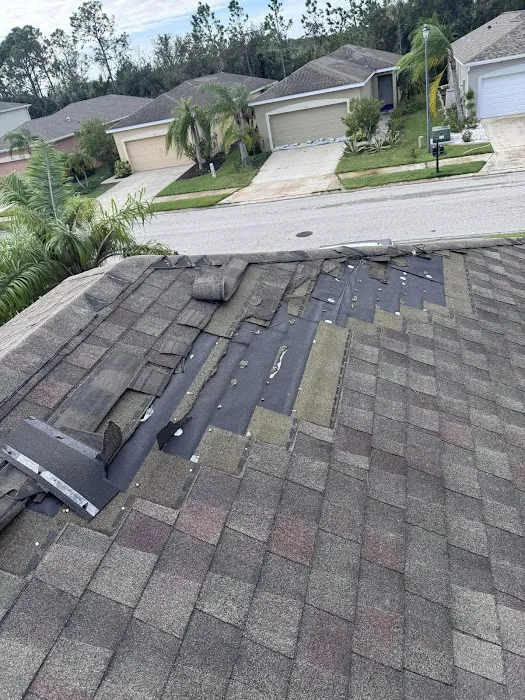 Green Vista Roofing Picture 10