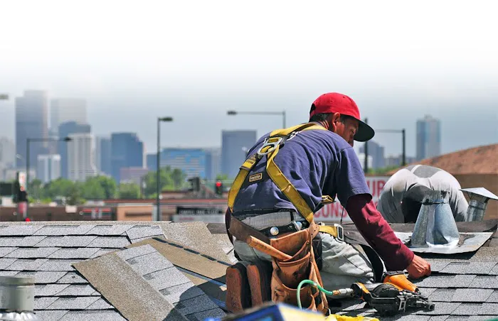 Green Vista Roofing Picture 5