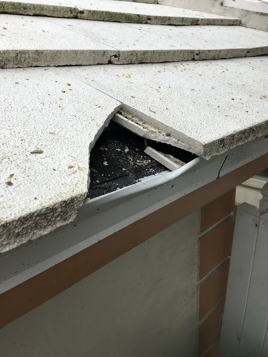 Watertite Roofing Picture 5