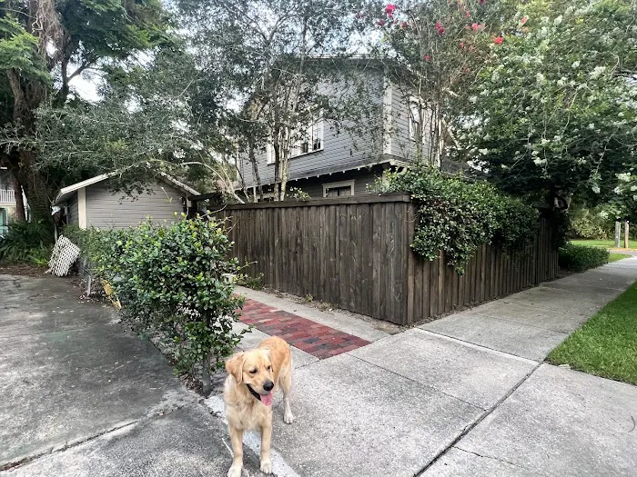 Orlando Roofing Solutions Picture 9