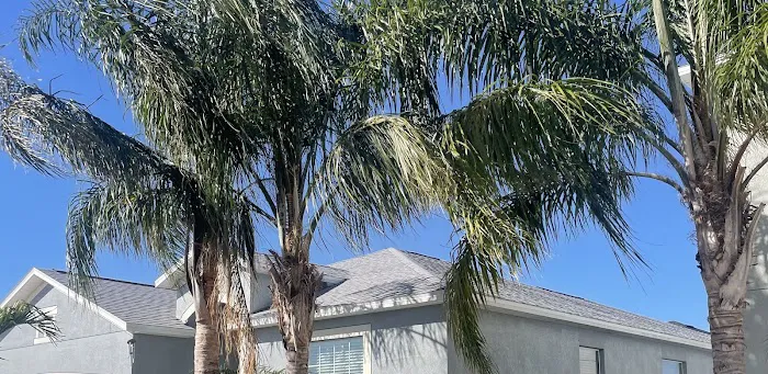 Florida Gold Roofing Picture 1