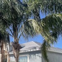 Florida Gold Roofing ico