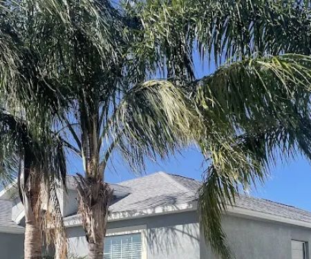 Florida Gold Roofing