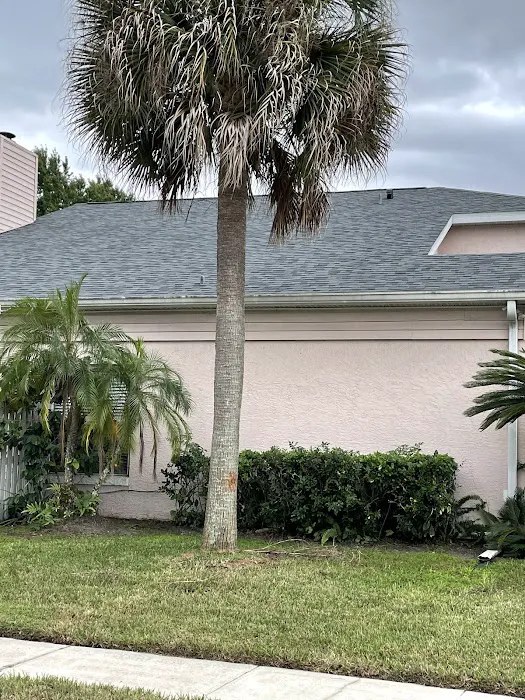 Reliable roofing and construction Picture 2