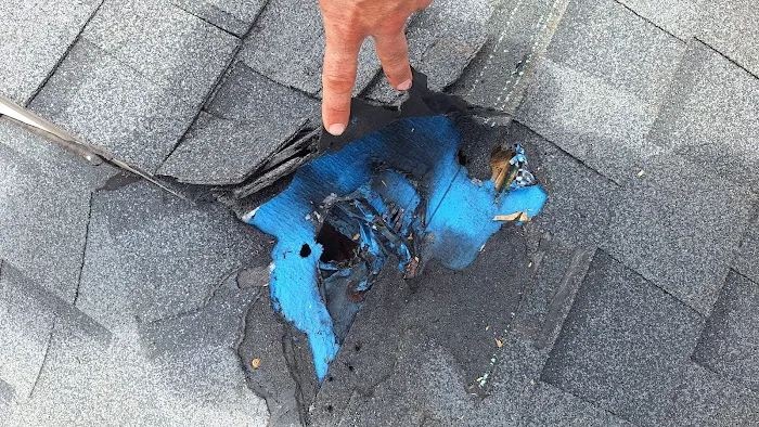 Florida man roof repairs .com / Coppinger Quality Roofing LIC#1332822 Picture 7