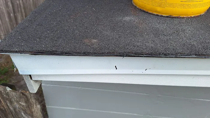 Florida man roof repairs .com / Coppinger Quality Roofing LIC#1332822 Picture 3