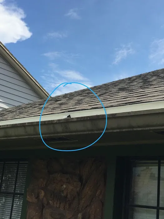 Florida Roofing Contractors Picture 3