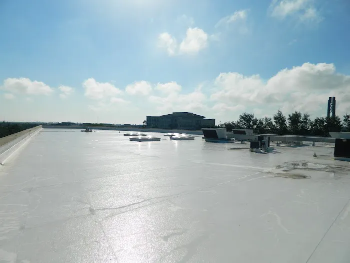 Green Roofing & Waterproofing Technologies Picture 8