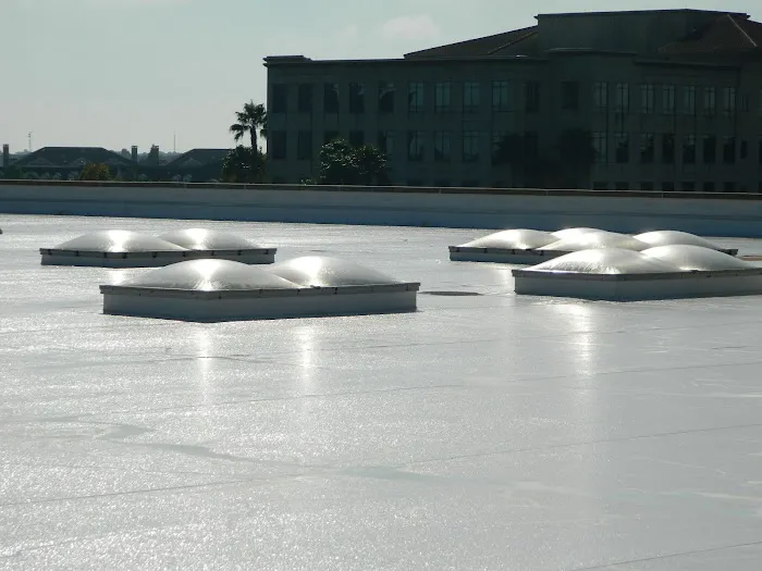 Green Roofing & Waterproofing Technologies Picture 9