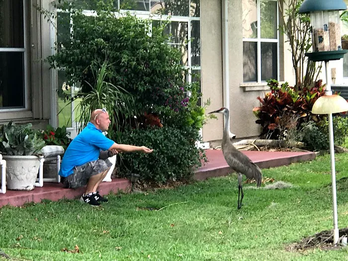 Buddin Services Remodeling Picture 5