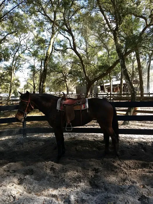 Evans Roofing Picture 2