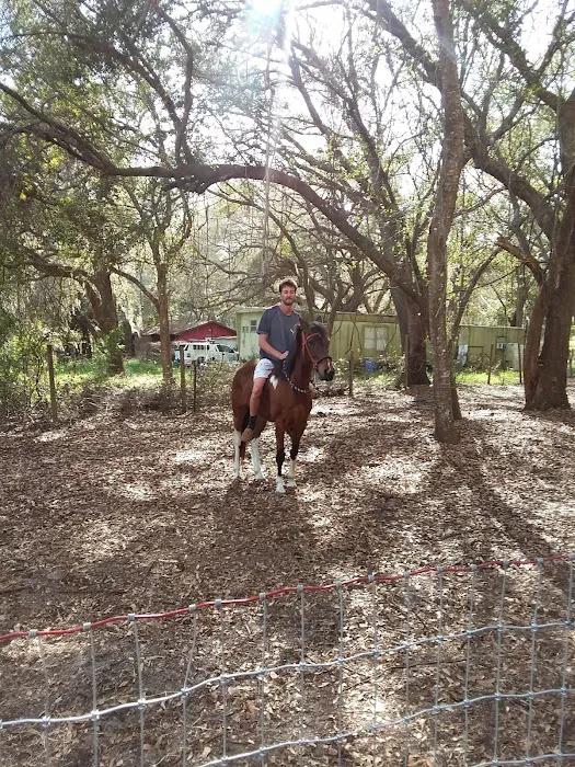 Evans Roofing Picture 1