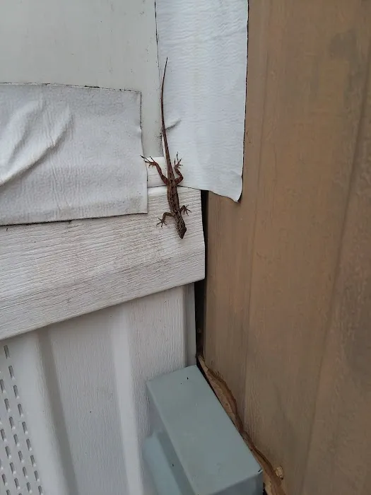 Evans Roofing Picture 3