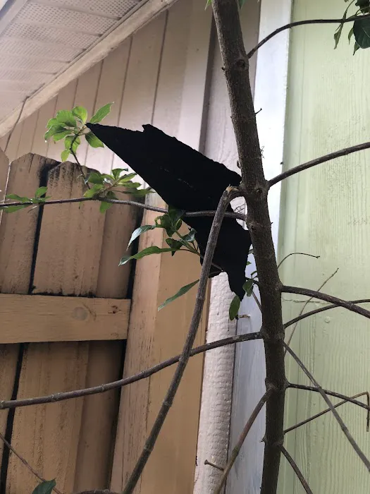 Weatherguard Quality Roofing LLC Picture 5