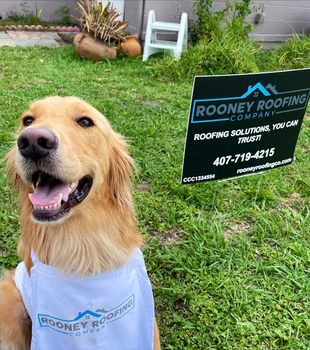 Rooney Roofing Company Picture 7