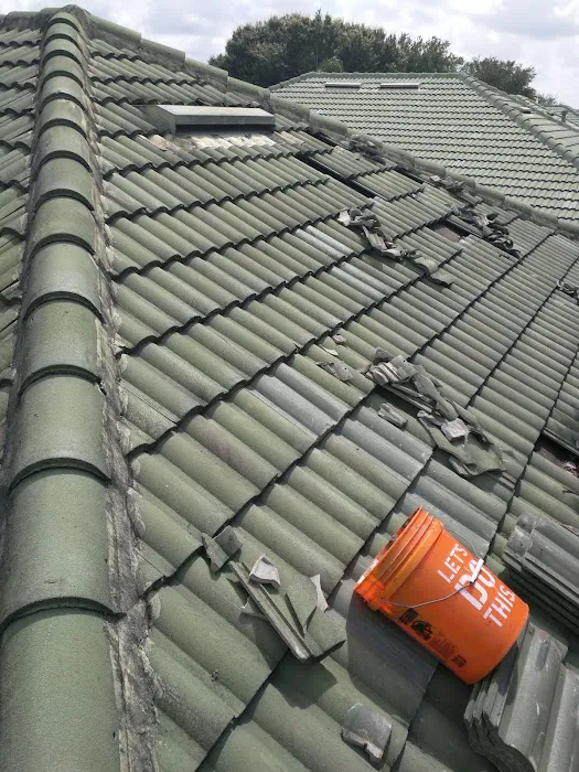 Johnson Roofing Orlando Inc Picture 7
