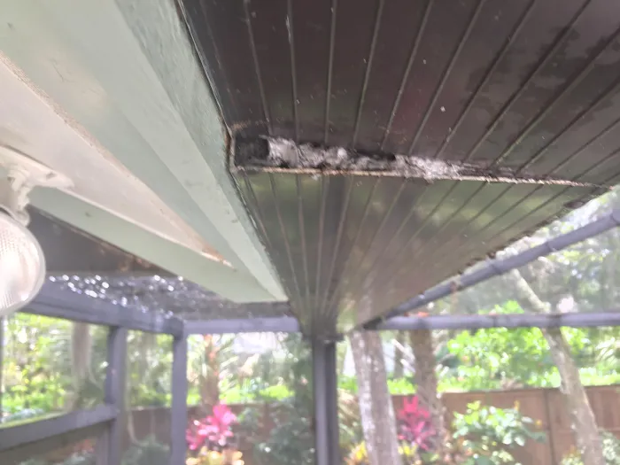 Winter Park Roofing Picture 10