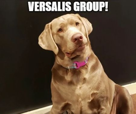 Versalis Group INC