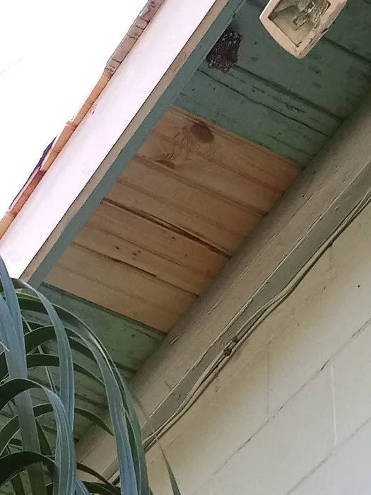 Roof Care of Central Florida Picture 10