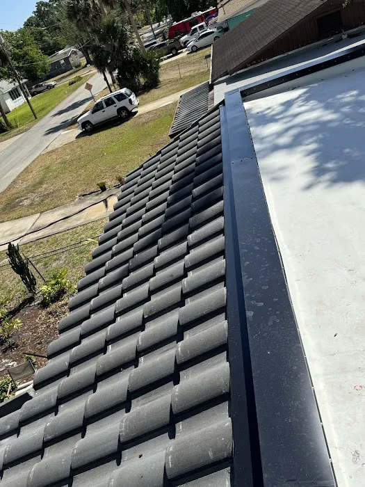 The Roof Sleuths 🔎 Picture 2