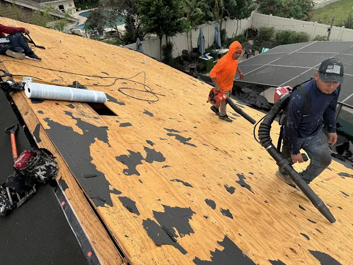 The Roof Sleuths 🔎 Picture 7