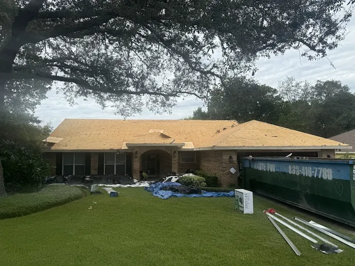 The Roof Sleuths 🔎 Picture 6