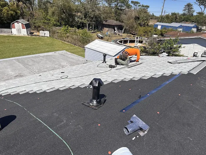 The Roof Sleuths 🔎 Picture 9