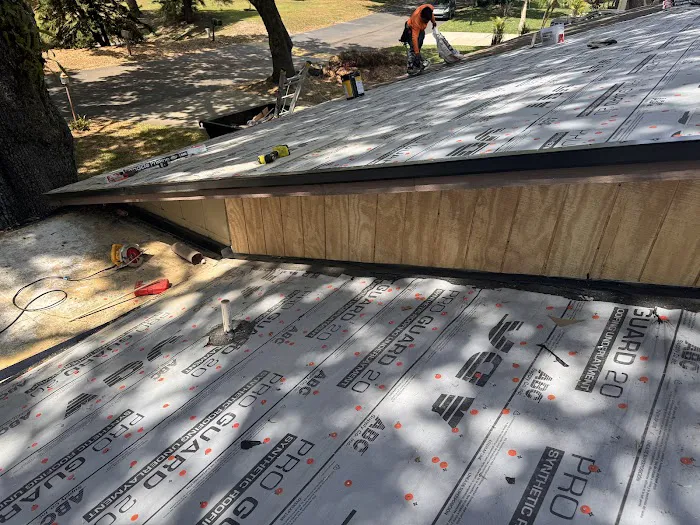 The Roof Sleuths 🔎 Picture 5