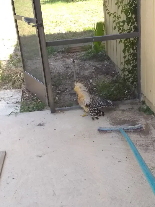 A Larsson & Sons Roofing Picture 3