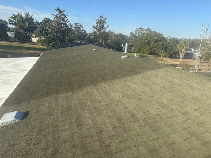 Bright Green Roof Central Florida Picture 1