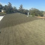Bright Green Roof Central Florida